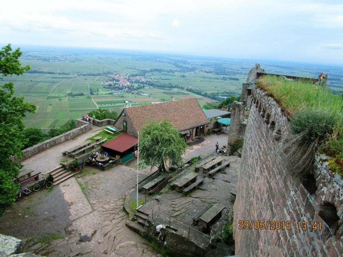 Phoenix Aus Der Asche Rhodt unter Rietburg Extérieur photo